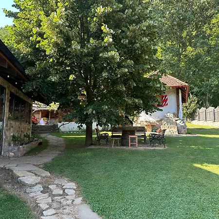 Drinsko Selo شقة *