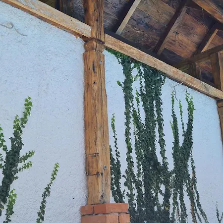 Drinsko Selo * Ovcinja